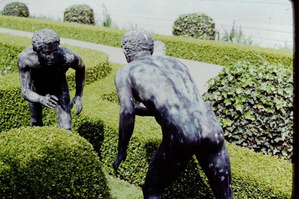 Getty Villa, Malibu, Spring 1982. Reproduction bronze statues of wrestlers. Photo by Stanley A. Jashemski.
Source: The Wilhelmina and Stanley A. Jashemski archive in the University of Maryland Library, Special Collections (See collection page) and made available under the Creative Commons Attribution-Non Commercial License v.4. See Licence and use details.
J80f0418